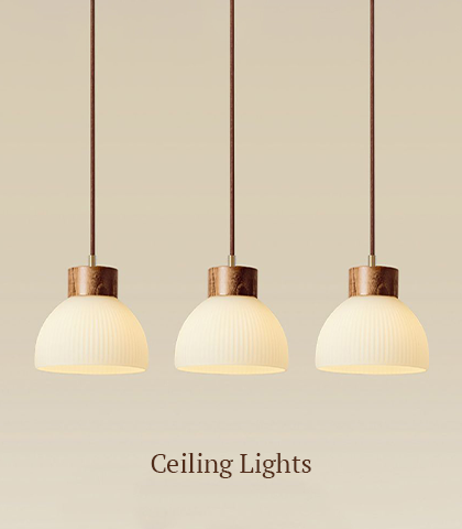 Ceiling Lights