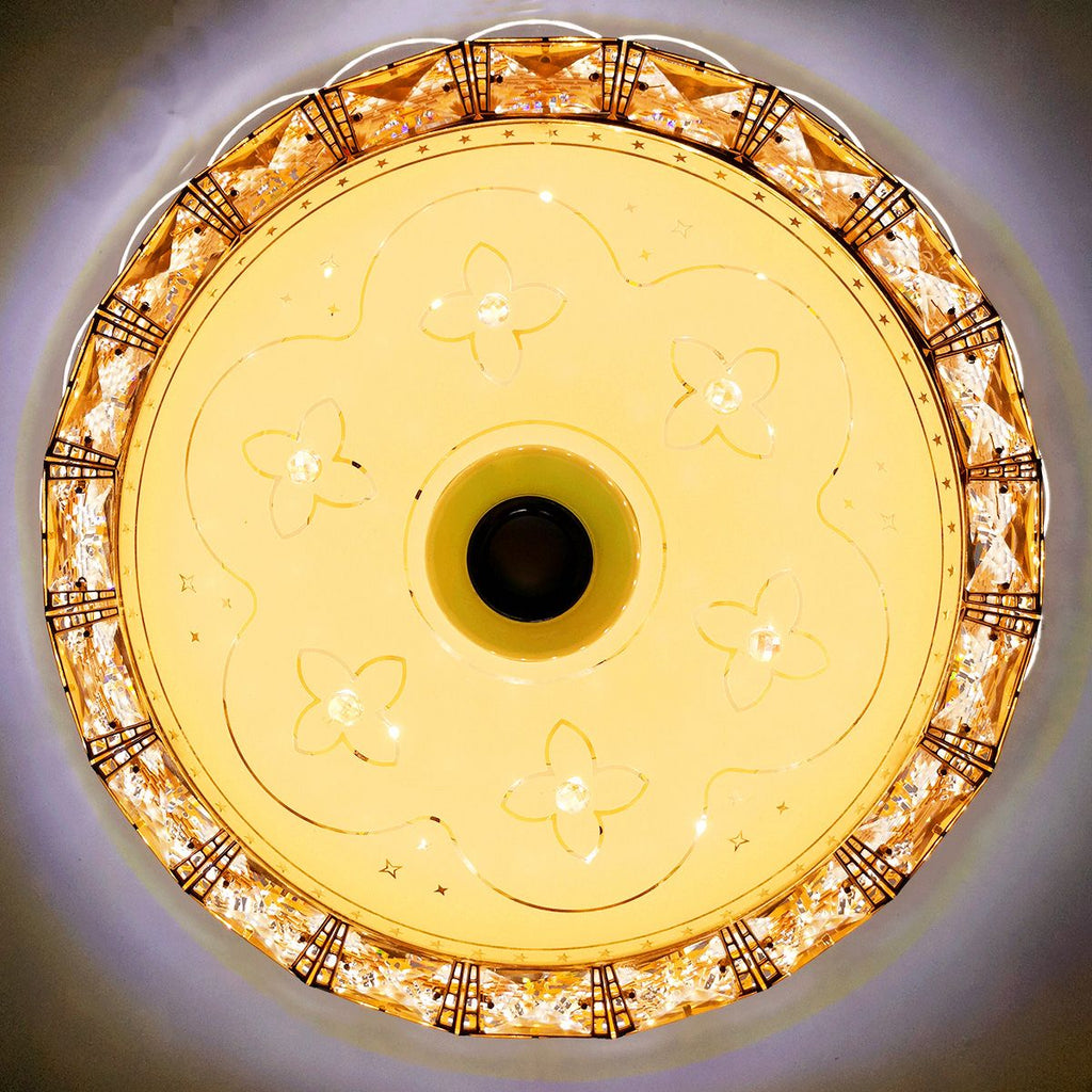LED Bluetooth Speaker Flush Ceiling Light Chandelier | Ceiling Lights