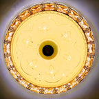 LED Bluetooth Speaker Flush Ceiling Light Chandelier | Ceiling Lights