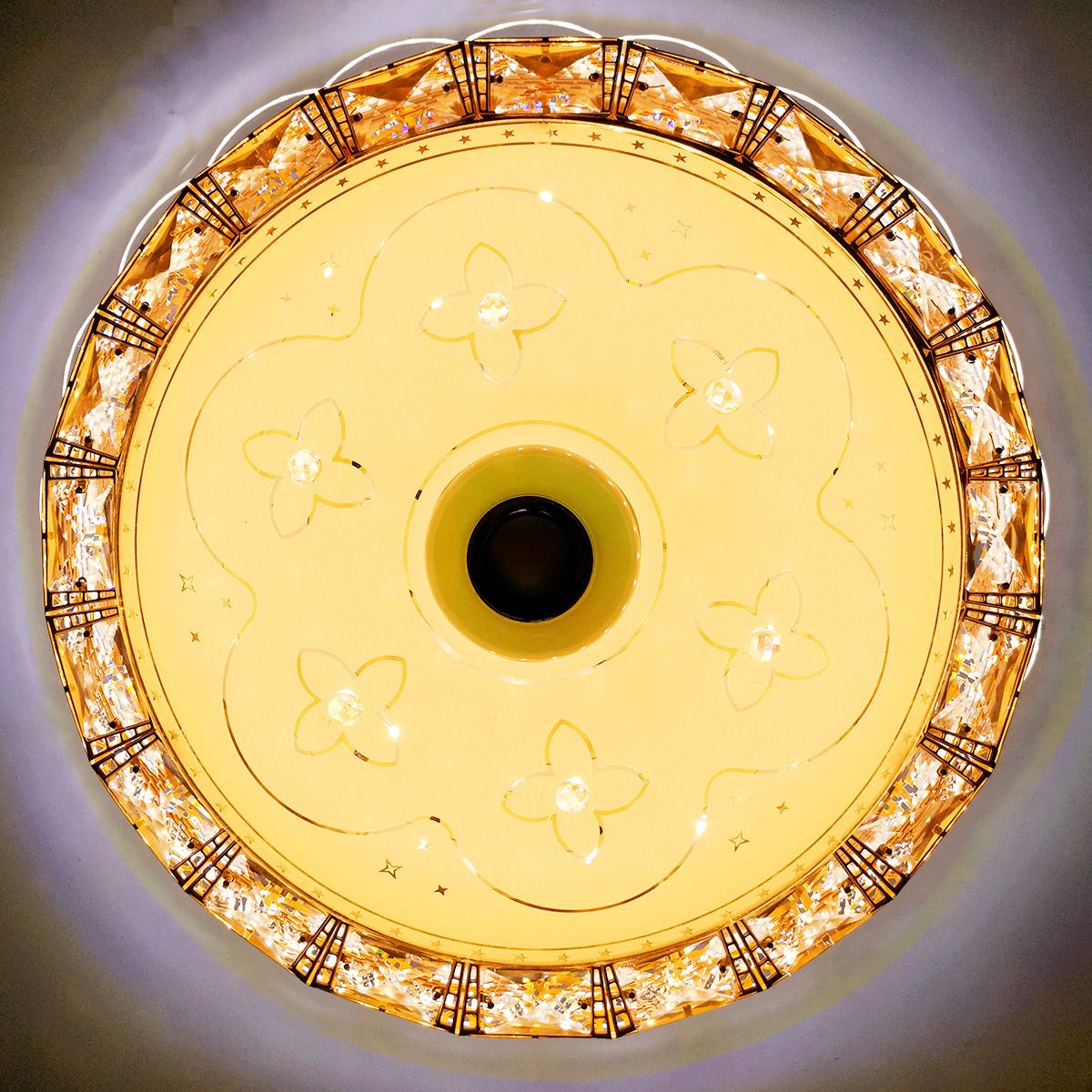 LED Bluetooth Speaker Flush Ceiling Light Chandelier | Ceiling Lights