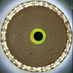 LED Bluetooth Speaker Flush Ceiling Light Chandelier | Ceiling Lights